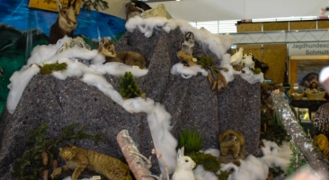 Exhibition in Germany 2016